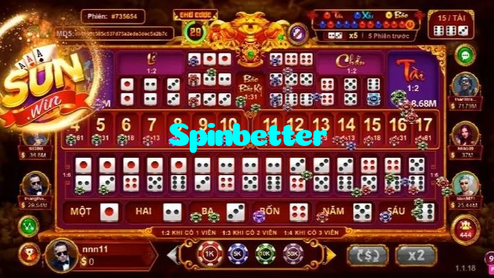 available types of Spinbetter bet including pre-match live express and system bets